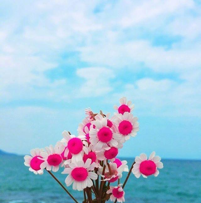 朝日奈兄弟x萌犬_成海萌奈_萌萌哒天团成长秀