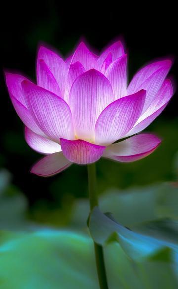 清明2023年是几月几日的_清明2023年放假_2023清明