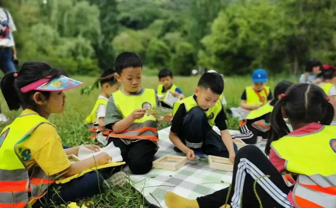 向往的生活5手机游戏软件_向往的生活5手机游戏软件_向往的生活5手机游戏软件