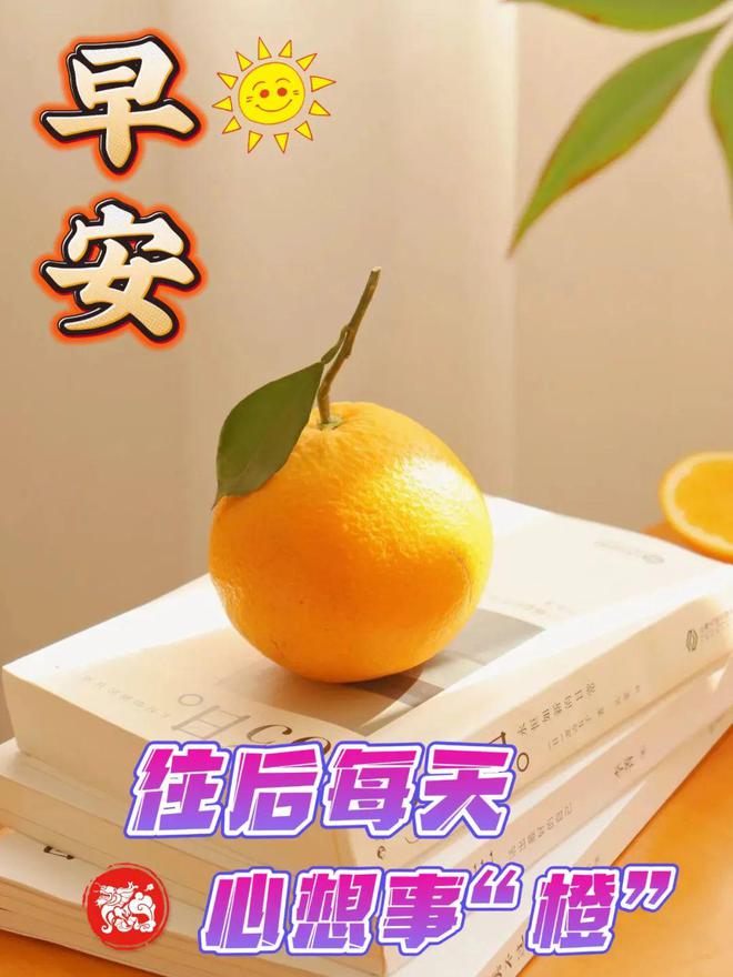 佐藤艾露:喧嚣世界中的温暖慰藉,如诗如画的存在(图2) 希志艾露合集_佐藤艾露_希志艾露女搜查官