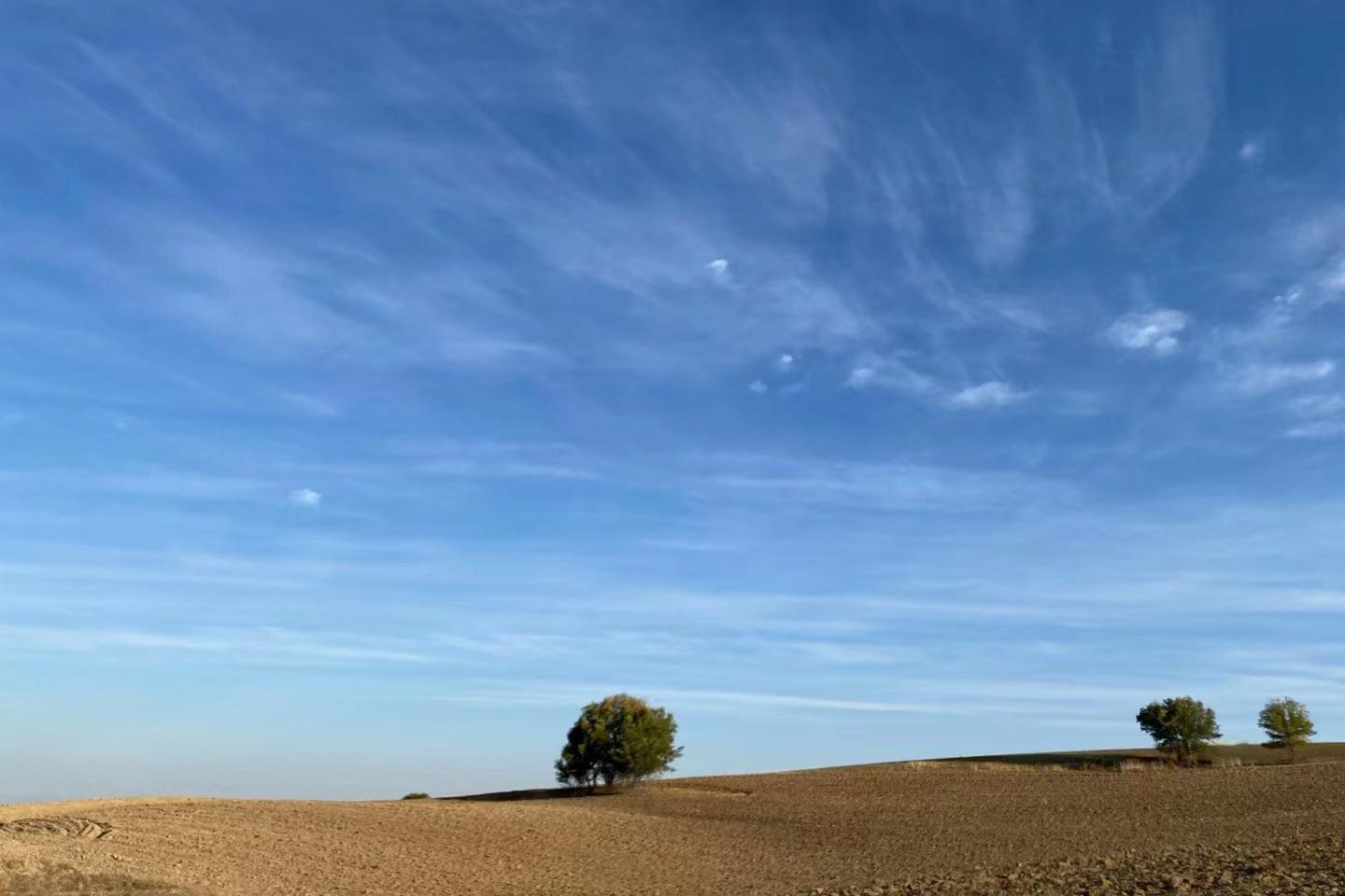 蛇腹之下:阴冷潮湿之地,隐藏着未被触及的恐惧与欲望(图2) 蛇腹_木瓜蛇腹胶囊_丽纹腹链蛇