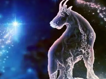 蛇腹之下:阴冷潮湿之地,隐藏着未被触及的恐惧与欲望(图3) 木瓜蛇腹胶囊_丽纹腹链蛇_蛇腹