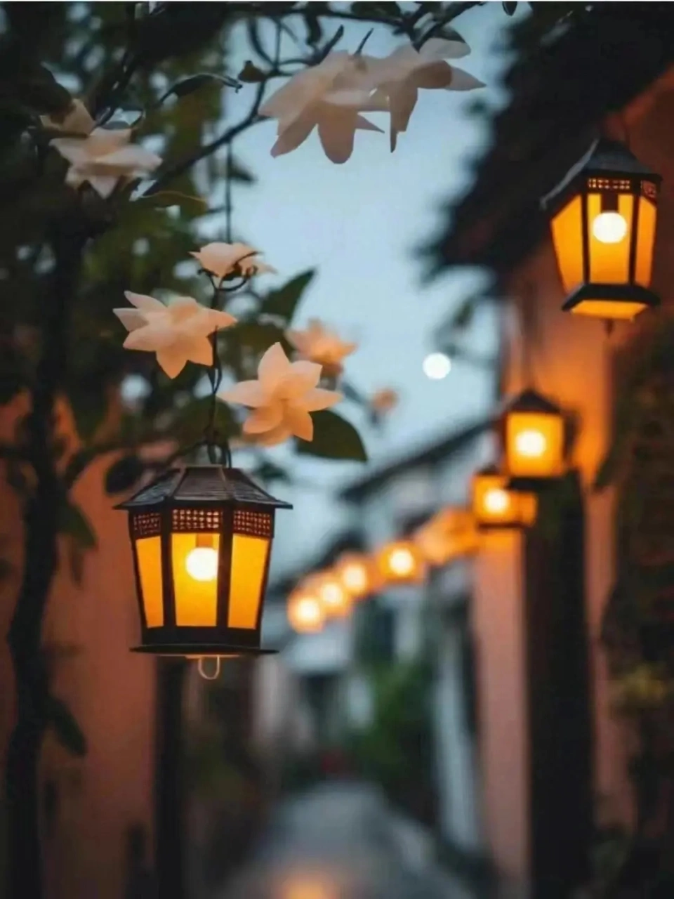 朝天爱婚礼_朝天爱豆_爱朝天