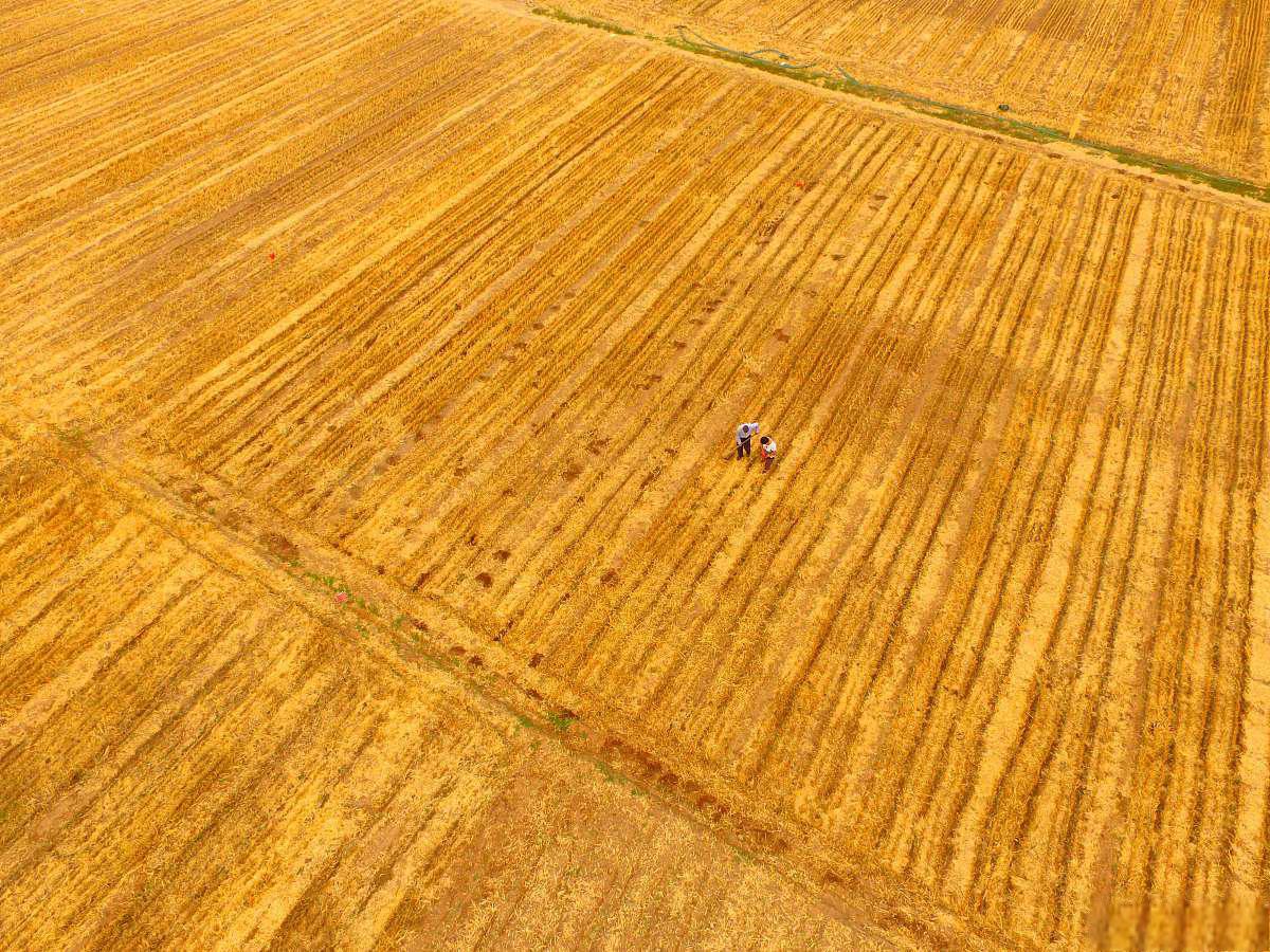 走进昆西:感受充满魔力的土地与宁静美好的生活(图2) 昆西_昆西-杜比_昆西杜比