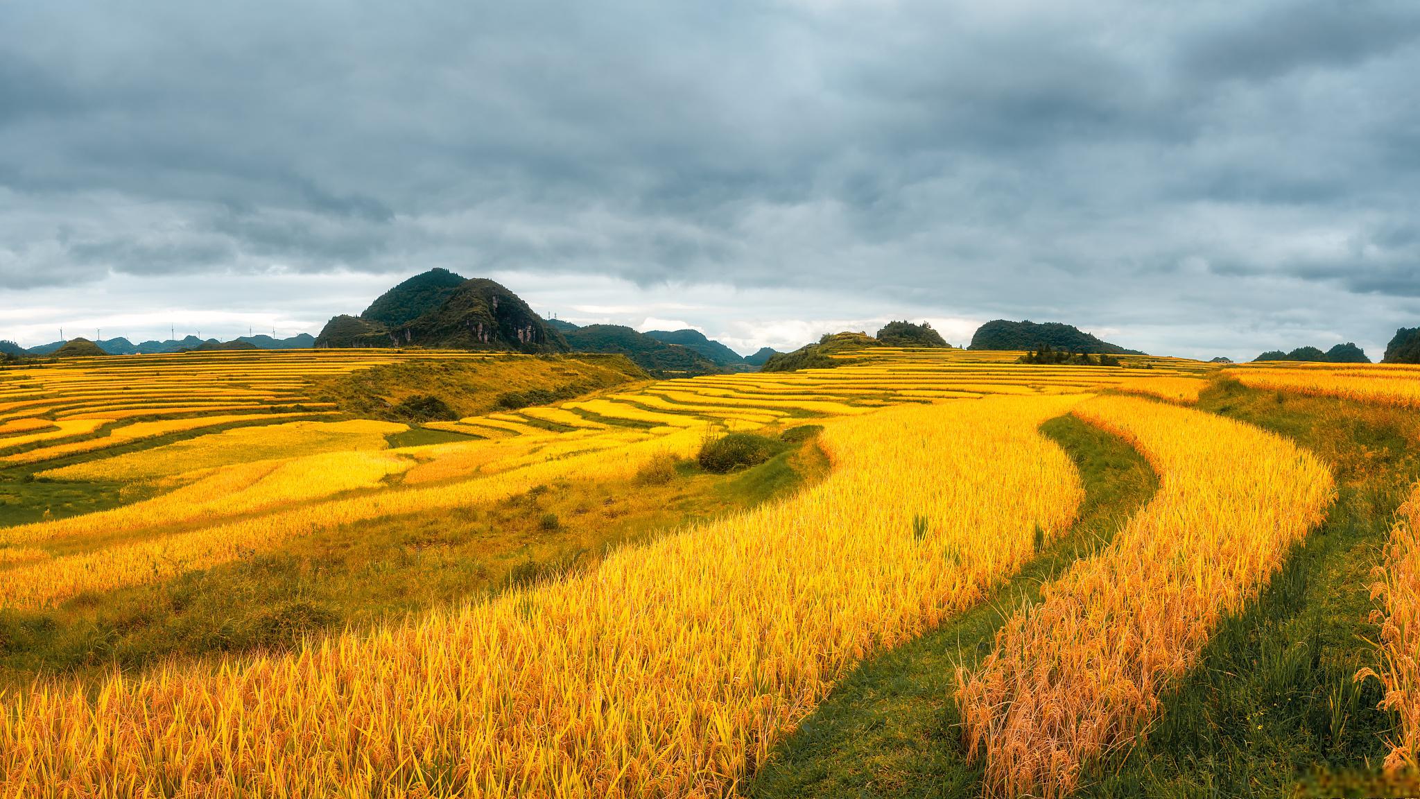 走进昆西:感受充满魔力的土地与宁静美好的生活(图3) 昆西杜比_昆西-杜比_昆西