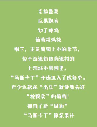 压力马死内是什么意_压力马斯类什么意思_压力马斯内是什么意思