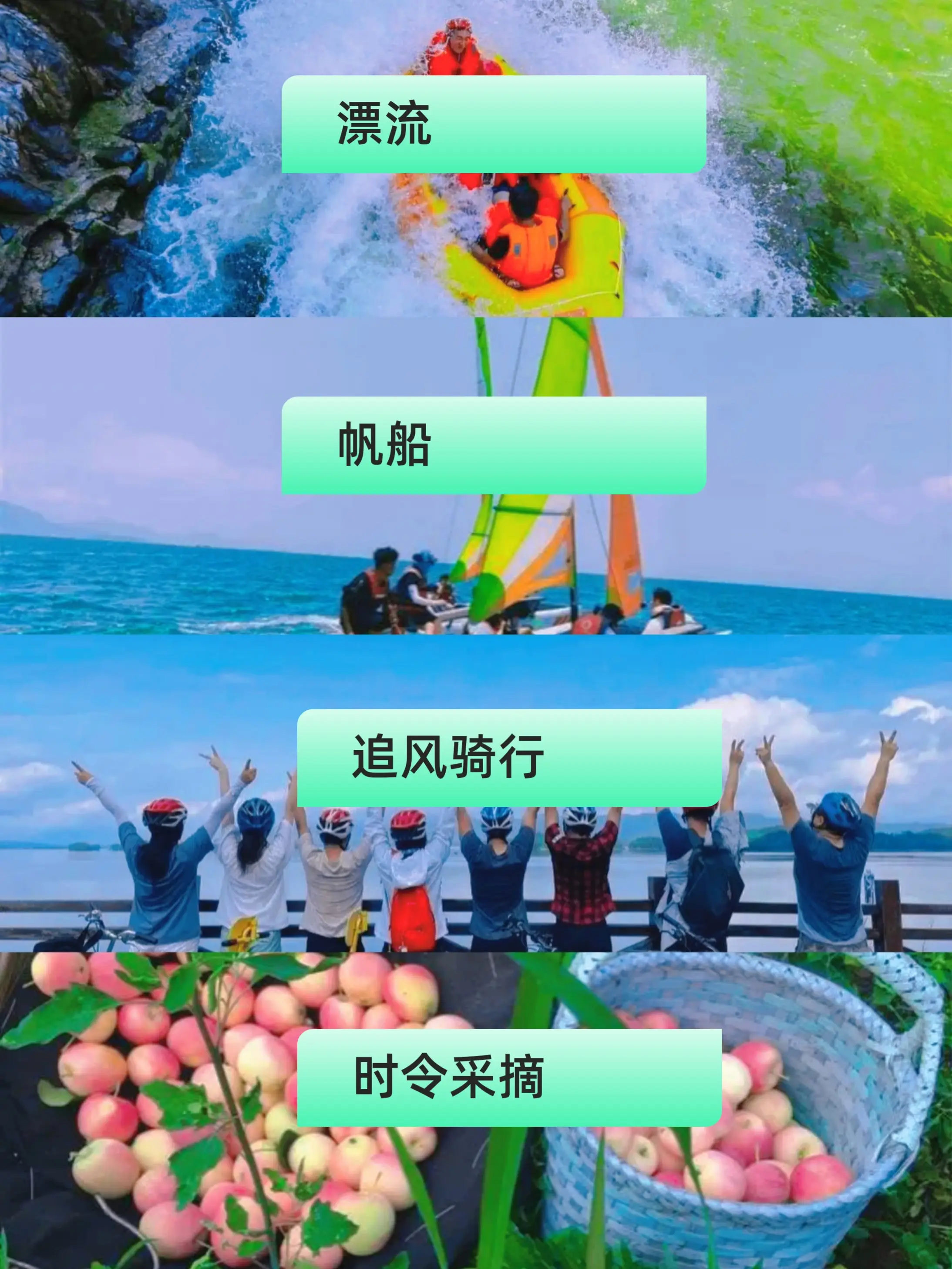 订阅公众号怎么赚钱_订阅公众号_订阅公众号助手