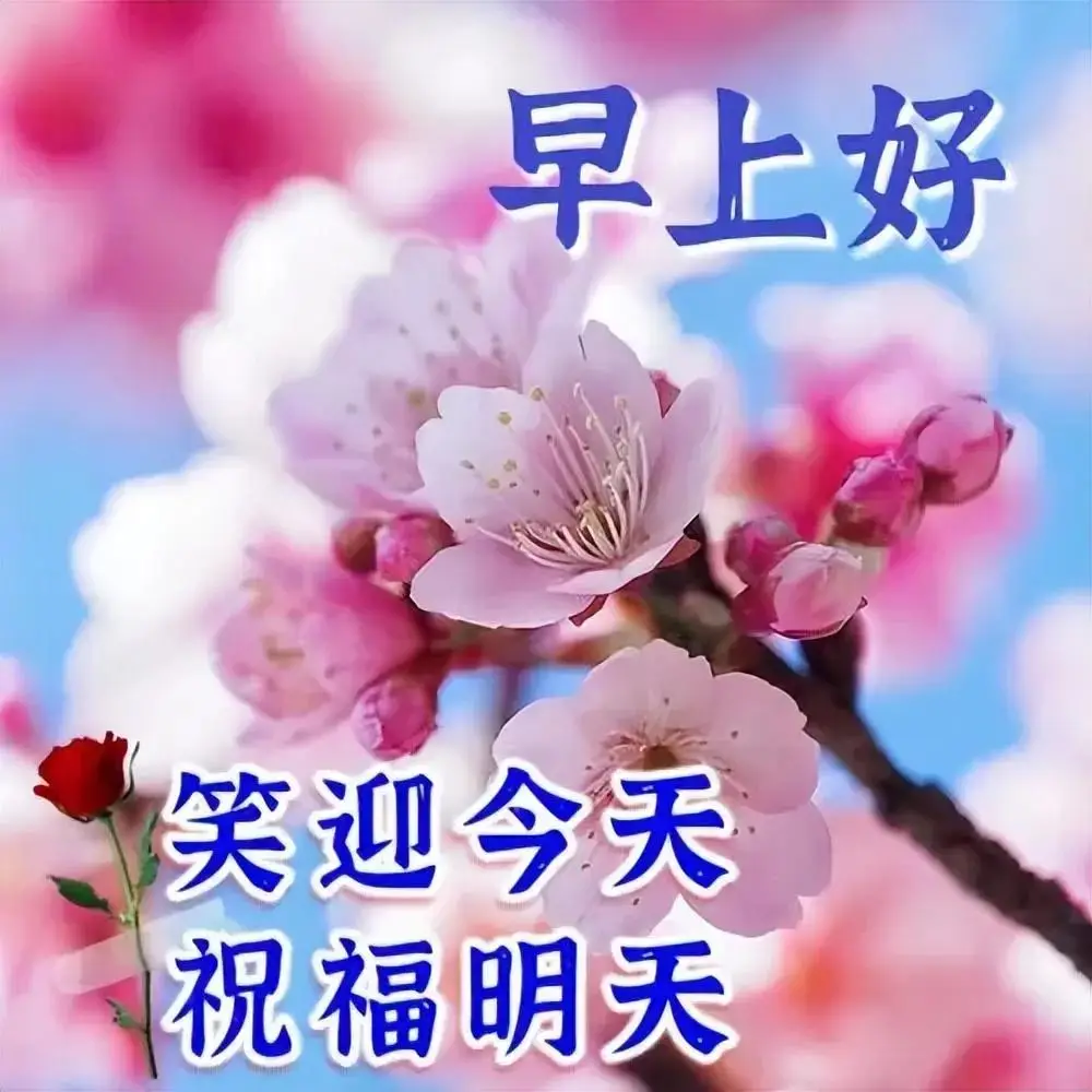 今年啥年_今年年号是什么_今年年是什么年