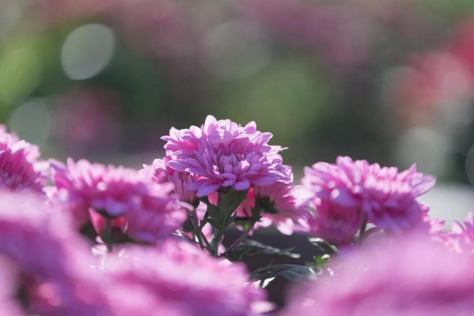 风早:生活中那些充满可能的美丽瞬间(图3) 早风冲锋衣怎么不卖了_早风是什么意思_风早