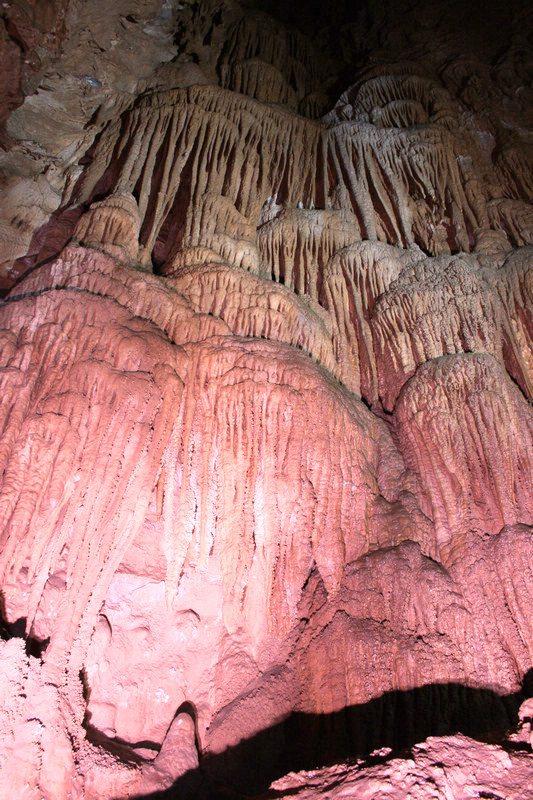 猎场投资了多少钱_投资猎场手机游戏_猎场手游下载