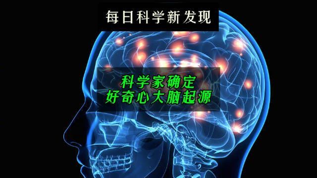 百科搜索:满足好奇心的魔法知识宝库,带你探索世界的奥秘(图3) 百科搜索_维基百科搜索_打开百度百科搜索