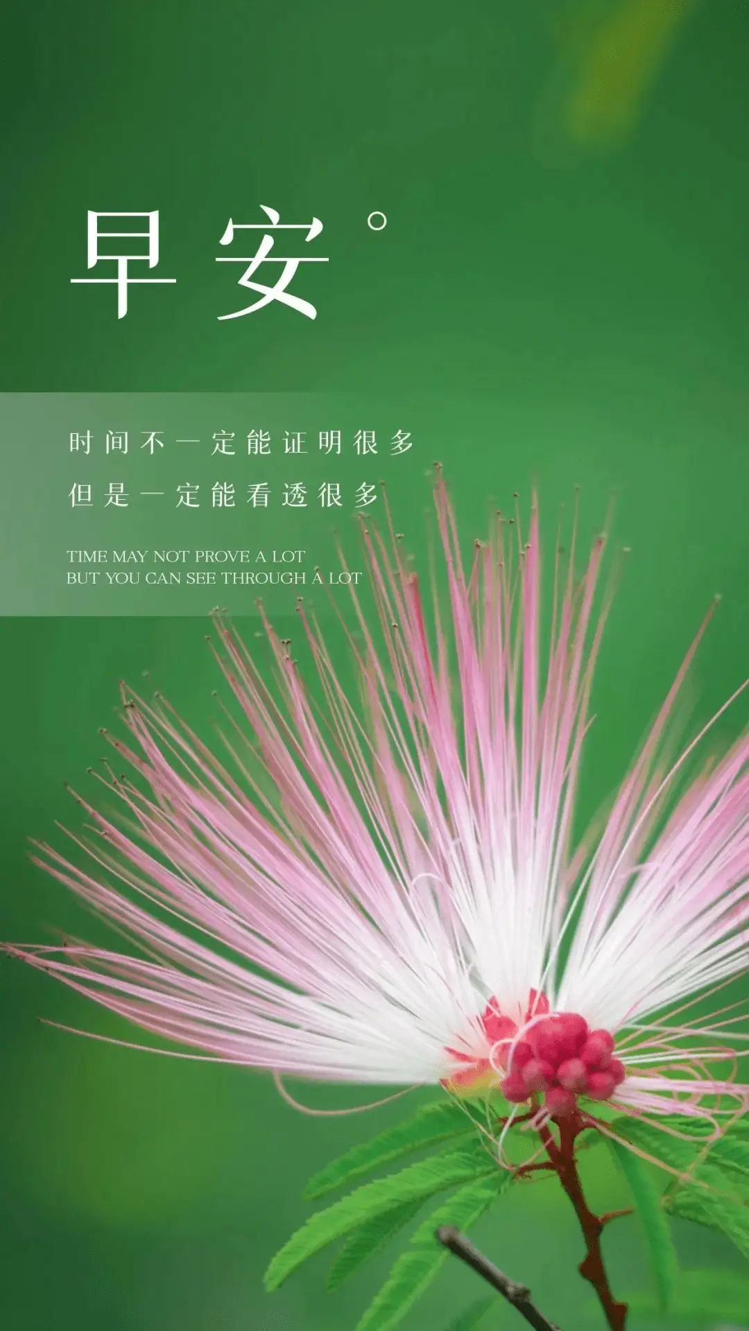 微博热搜_微博_微博搜索