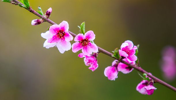 四团游戏手机下载安装-超燃四团游戏,如何轻松下载到手机并畅玩?(图2) 团团手游官网下载_我要下载团游_四团游戏手机下载安装