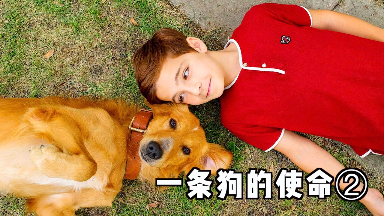 在线观看使命1全集_一条狗的使命在线观看完整版免费_电视连续剧使命1手机在线观看