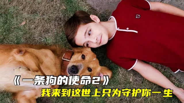 在线观看使命1全集_电视连续剧使命1手机在线观看_一条狗的使命在线观看完整版免费