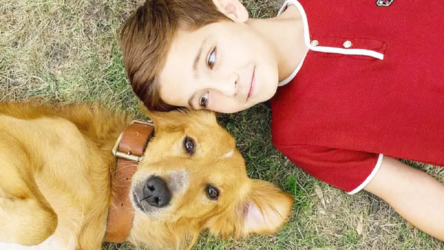 在线观看使命1全集_一条狗的使命在线观看完整版免费_电视连续剧使命1手机在线观看