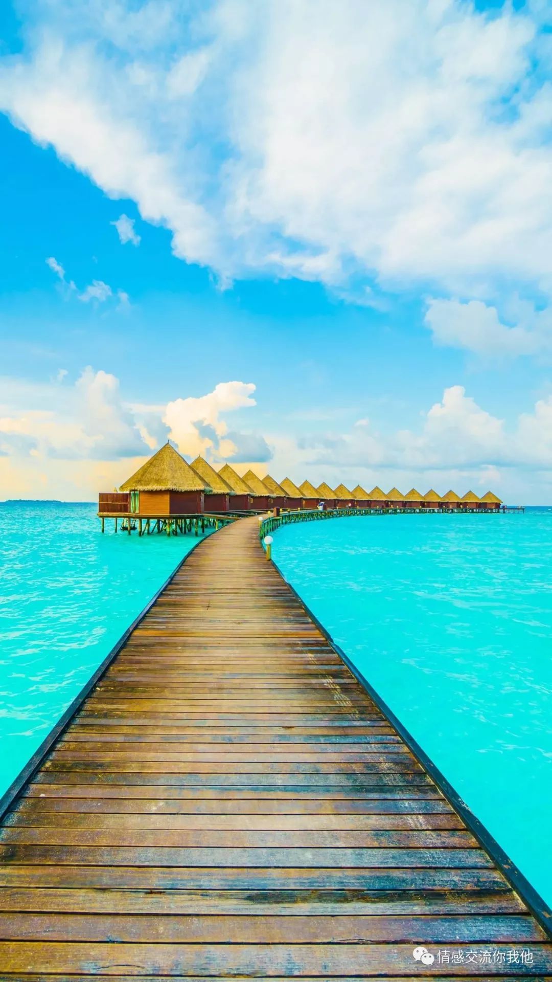 忆雨_忆雨童话_忆雨图片