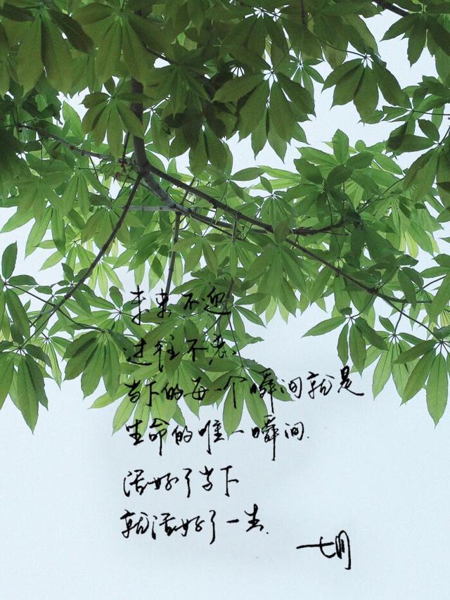 《太阳照常升起》-太阳照常升起:黑暗中坚信光明的力量,照亮生活的每一刻(图3) t太阳照常升起_《太阳照常升起》_太阳照常升起cmj