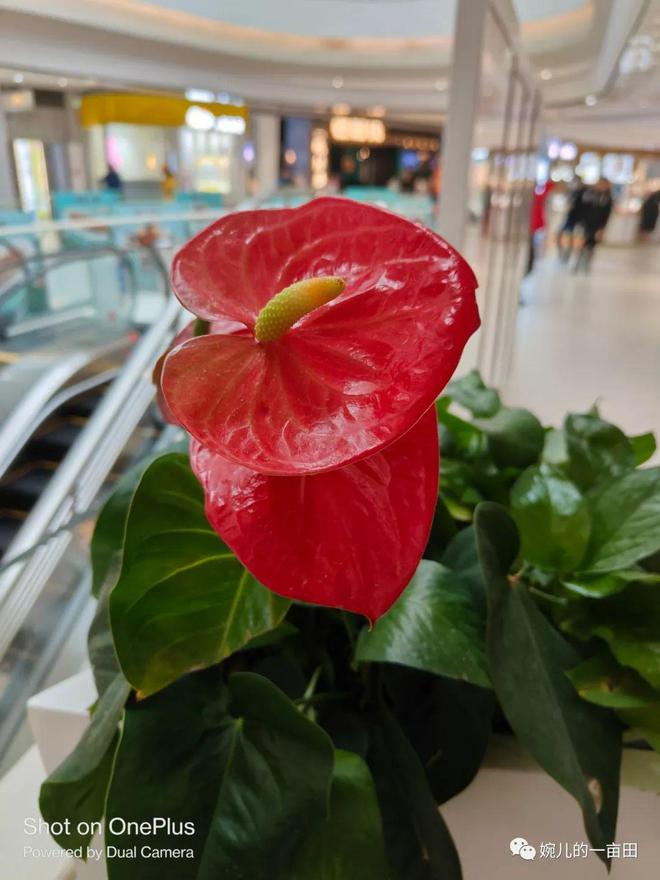 热量下载_热量最高的游戏_游戏手机热量