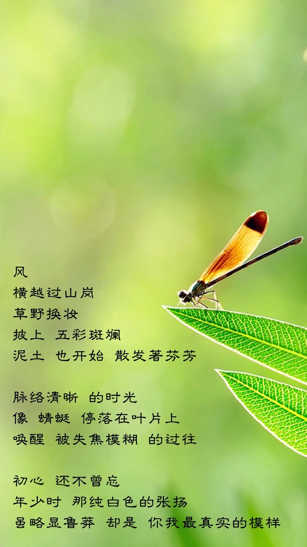 尔母婢也_母婢怎么读_母婢是什么