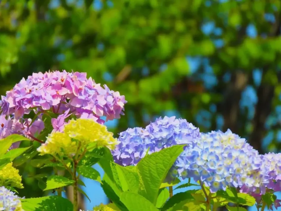 希沃小游戏使用方法_希沃的小游戏_希沃手机游戏
