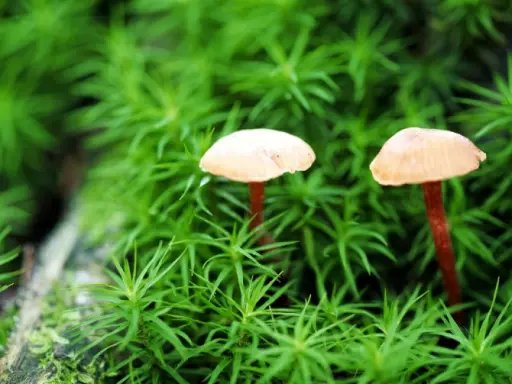 网易换手机号游戏会取消吗_网易换手机号游戏怎么换_网易游戏更换手机号