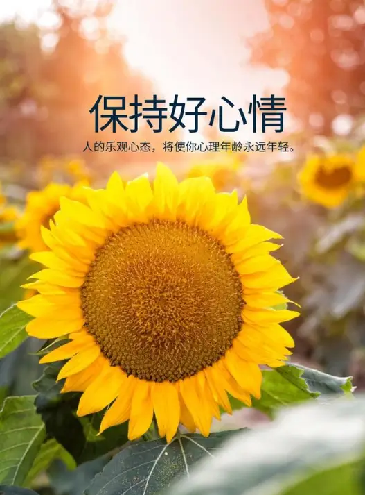 拾光梦行:在光与梦想交织的世界中追寻心灵的触碰(图2) 拾光梦行歌曲_拾光梦行角色_拾光梦行