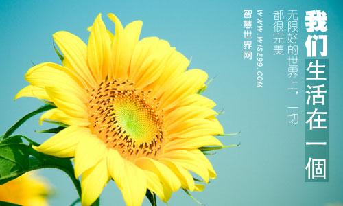 拾光梦行:在光与梦想交织的世界中追寻心灵的触碰(图3) 拾光梦行歌曲_拾光梦行_拾光梦行角色