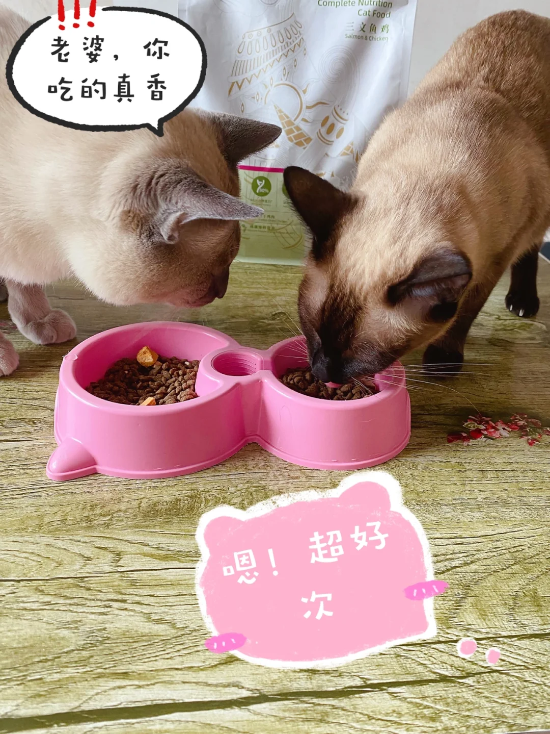 性感小猫咪_霸道总裁的小猫咪_小时代初尝性感装扮的小女生
