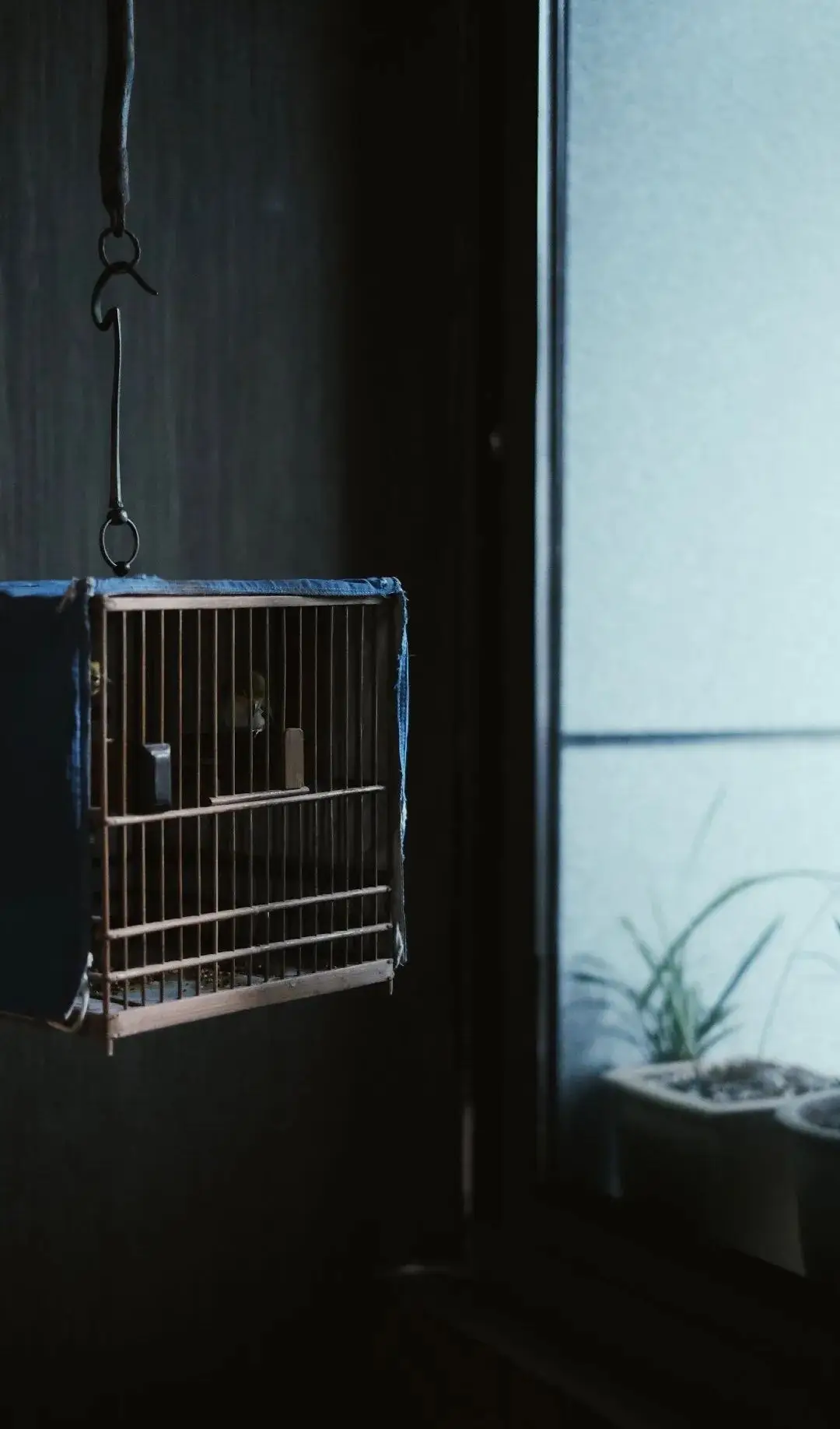 竹蜻蜓游戏玩法_蜻蜓蜻蜓手游网_竹蜻蜓手机游戏