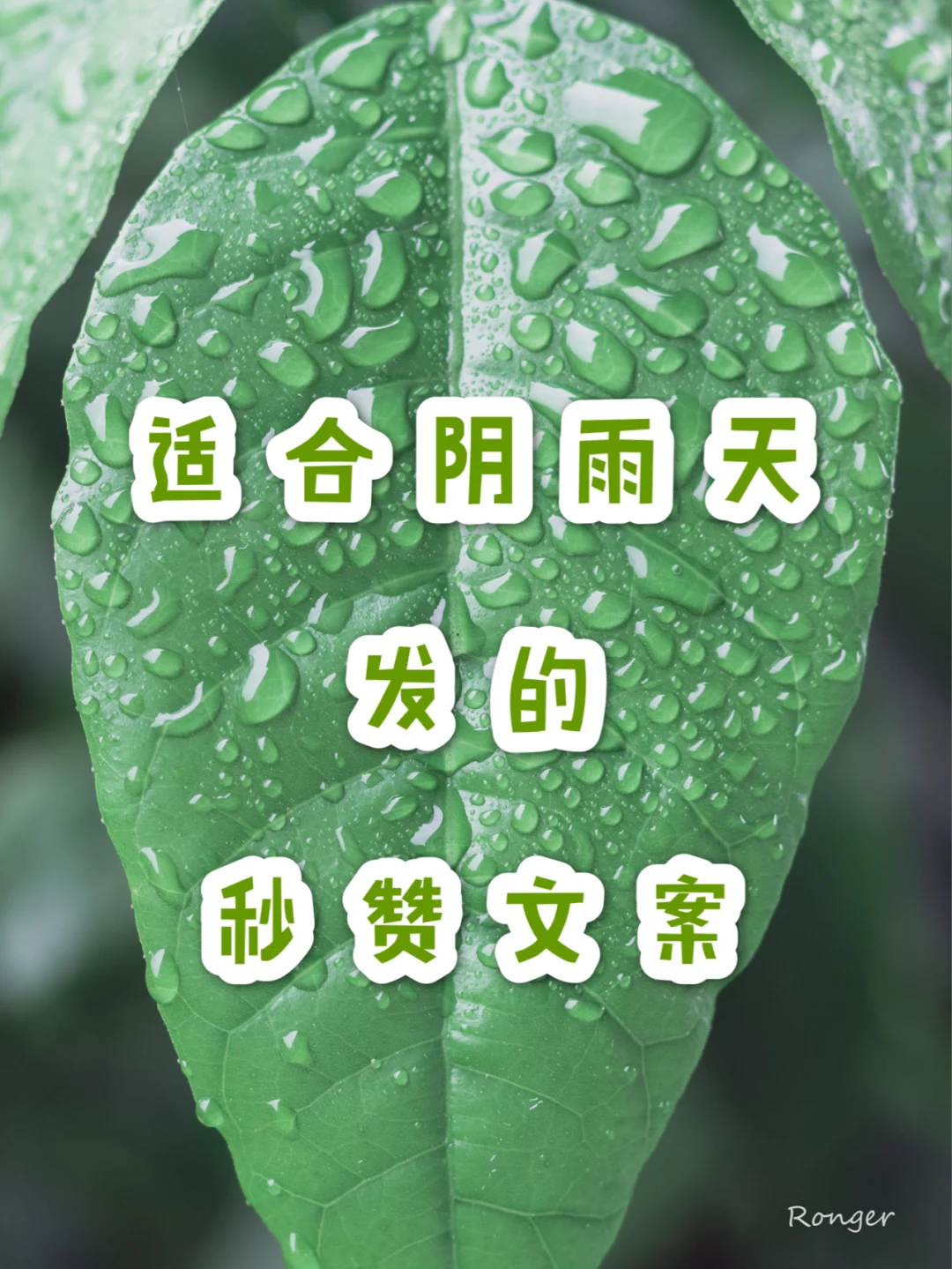 咧咧勾勾什么意思_哦咧咧哦啦啦dj_啊咧咧