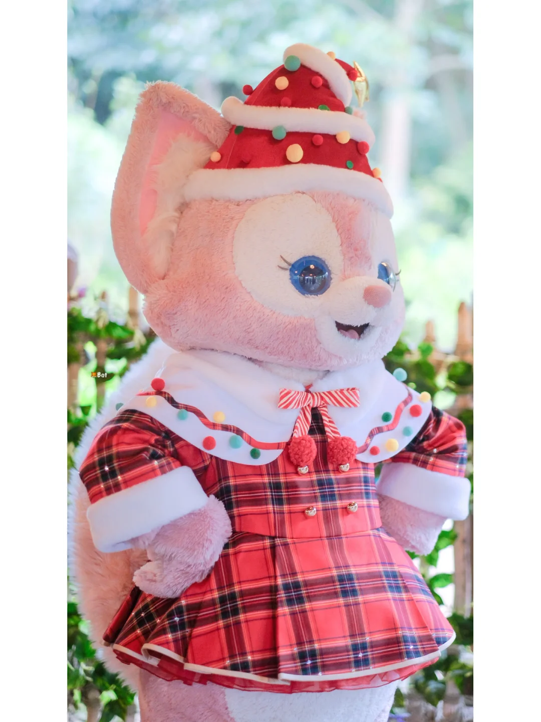 贝露丝_贝露贝特_贝露