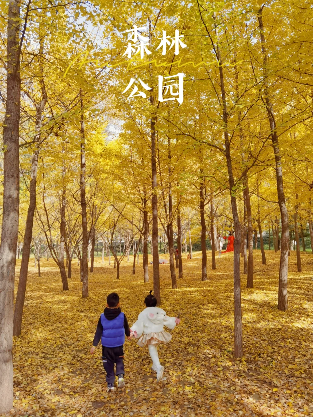 亚当斯科特1015航班_亚当·斯科特_亚当斯科特挥杆