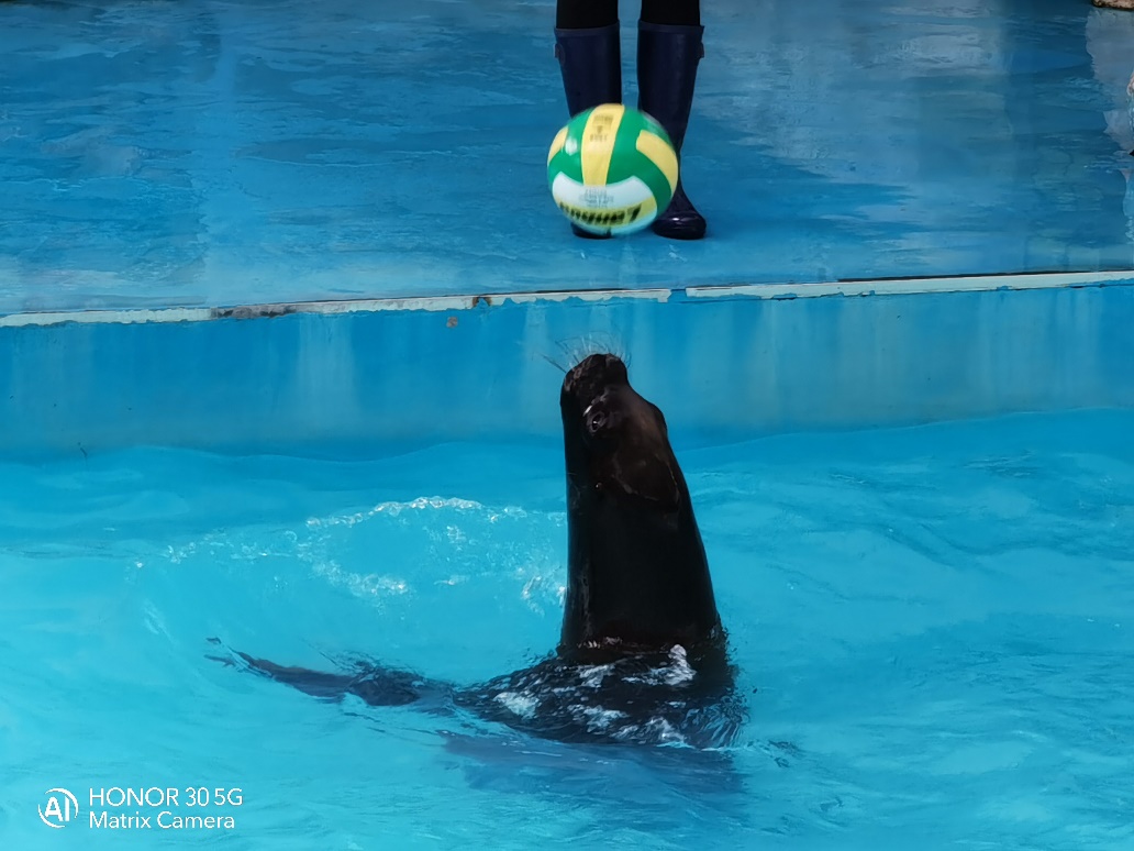 走进投篮手机游戏的热血世界,感受篮球魅力(图4) 投篮手机游戏软件_投篮的手机游戏_投篮手机游戏