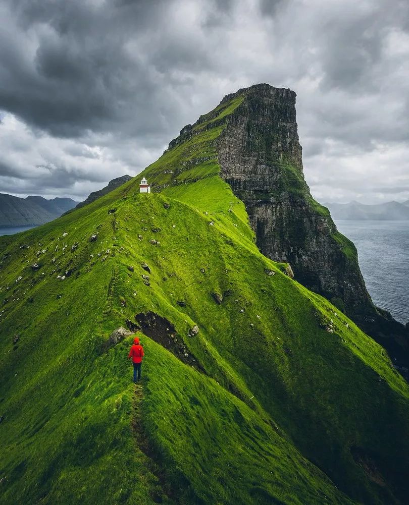 烈咬陆鲨_烈咬陆鲨好丑_烈咬陆鲨对战