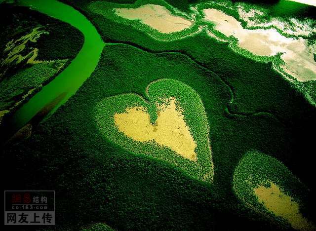 烈咬陆鲨好丑_烈咬陆鲨对战_烈咬陆鲨