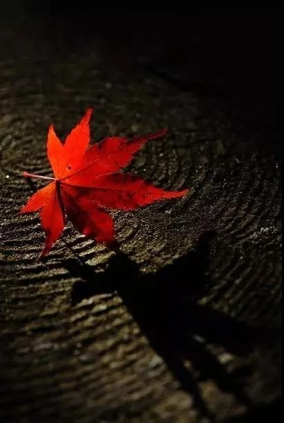 年2021年属_年2024_202年