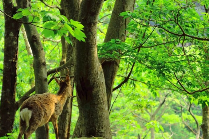 影音先锋成人黄色电影_影音先锋成人动漫图片_成人影音先锋