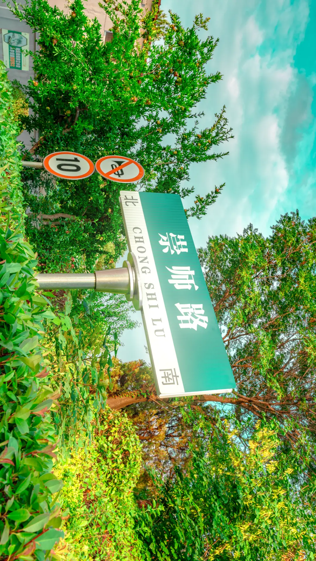 玩追人游戏的作文_玩追人游戏_追人的手机游戏