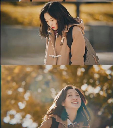 魔法少女奈叶第二部_奈叶什么意思_奈叶