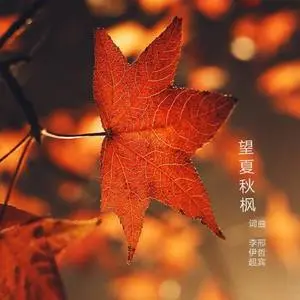 凋叶棕:秋天的心事,岁月的流转,情感的寄托(图1) 凋叶棕_凋叶棕_凋叶棕