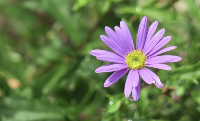 龙宫礼奈:用笑容和画笔驱散阴霾的校园女孩(图5) 龙宫礼奈_龙宫礼奈喜欢圭一吗_龙宫礼奈头像