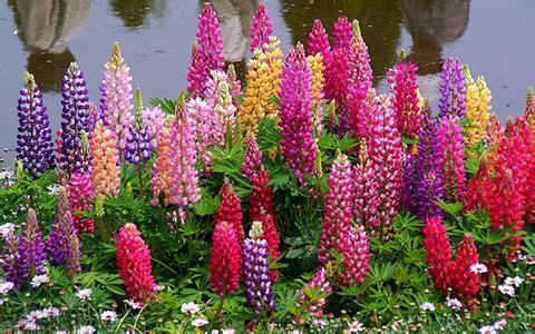 安莉洁_安莉洁_安莉洁