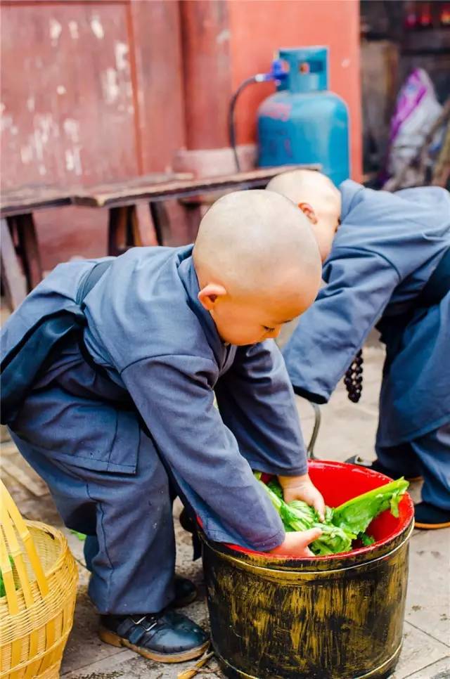 成都现呆萌小沙弥-成都街头偶遇超级呆萌小沙弥,纯真可爱令人心都融化了(图1) 呆萌呆萌_世家子by呆萌呆萌txt_成都现呆萌小沙弥
