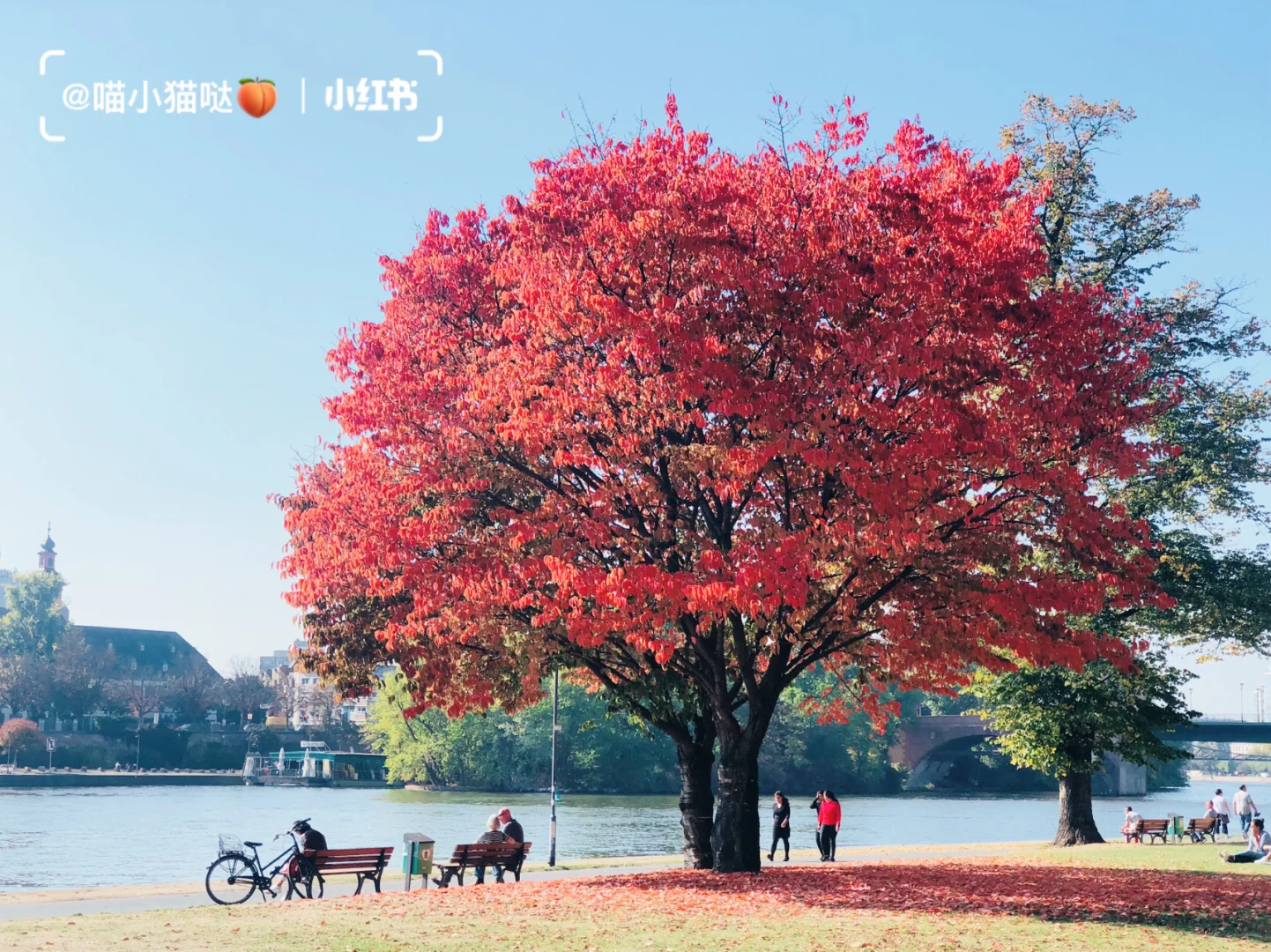 斯国一:生活中的小确幸,你发现了吗?(图1) 斯国一_国中藏宝_斯国一