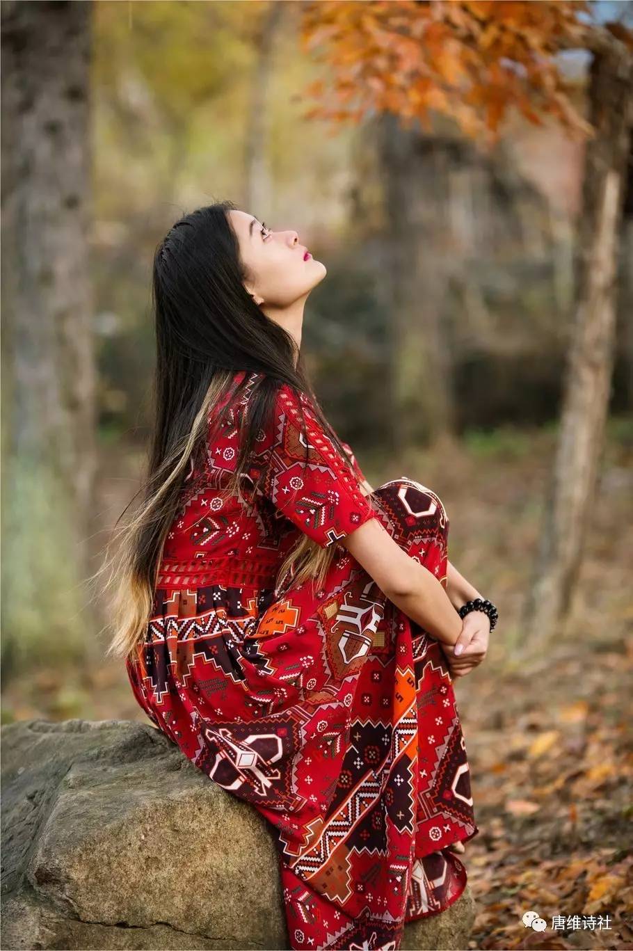 夭夭:过早凋零的美丽,触动内心最柔软的角落(图4) 夭夭_桃之妖妖的夭夭_仙界传说之桃夭夭txt