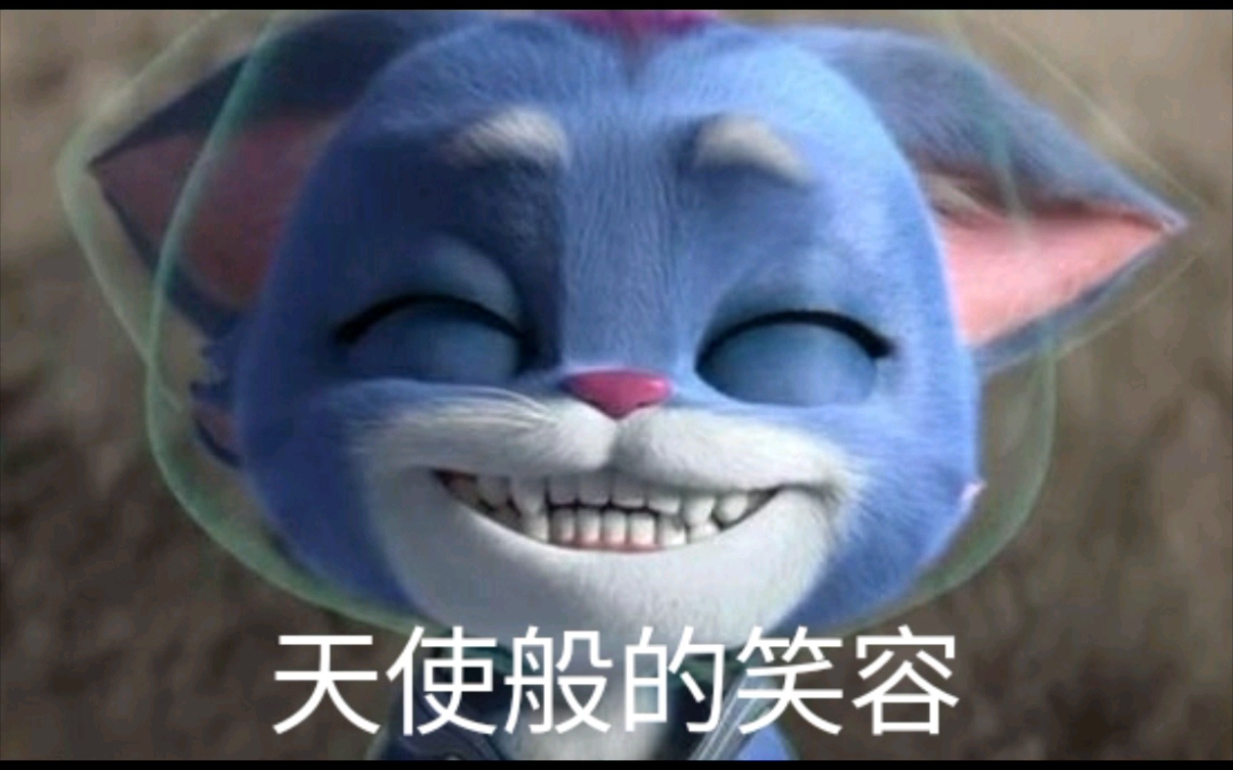 阿布热带雨林爆笑生活_热带雨林的爆笑生活阿布_热带雨林的爆笑生活阿布头像