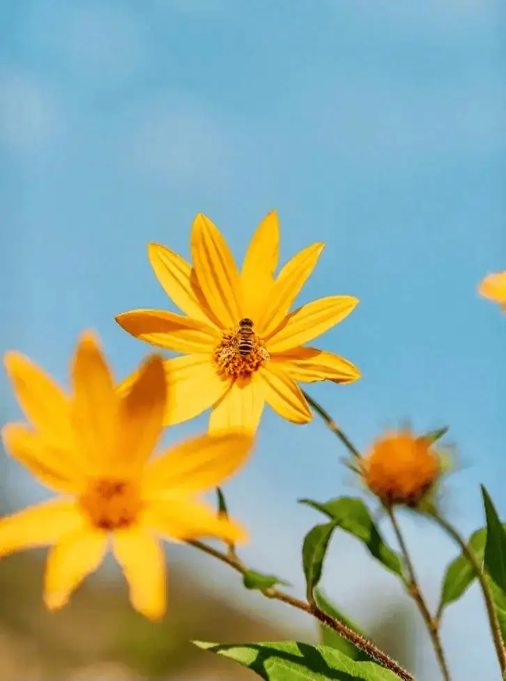 小米游戏通知不弹出来_小米手机游戏消息提醒_小米手机游戏提示音