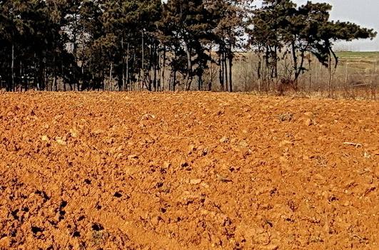 庚午年:充满活力与机遇的特别年份,你还记得吗?(图3) 庚午年_庚午年是什么命_庚午年五行属什么命