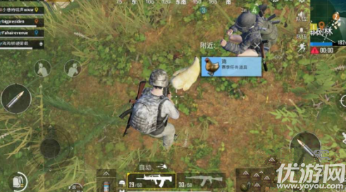 真的适合鸡的小游戏是新版的_小型手机版吃鸡游戏有哪些_小型吃鸡类手游